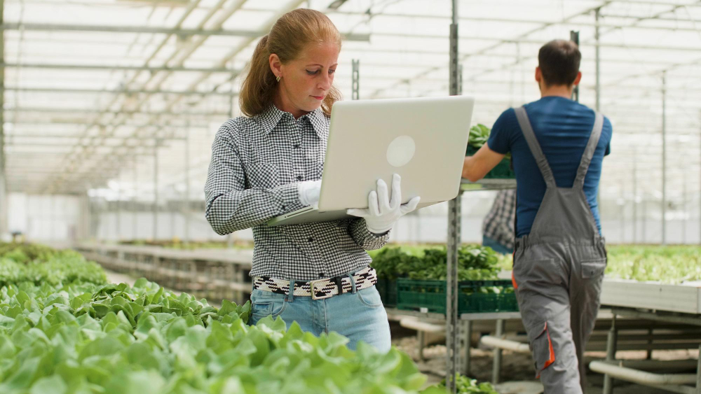 SharePoint 2010 to Office 365 Migration for UK Agricultural Levy Board